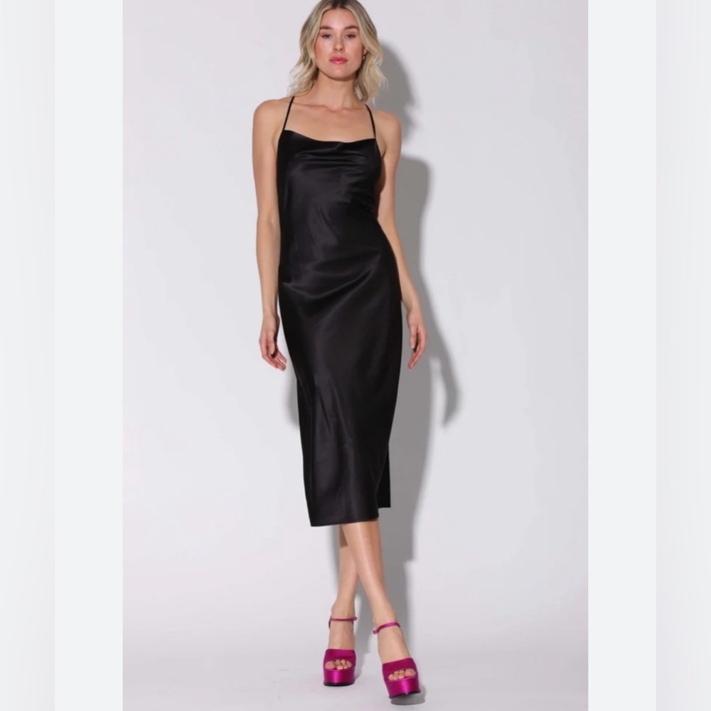 Walter Baker Maxi Dress